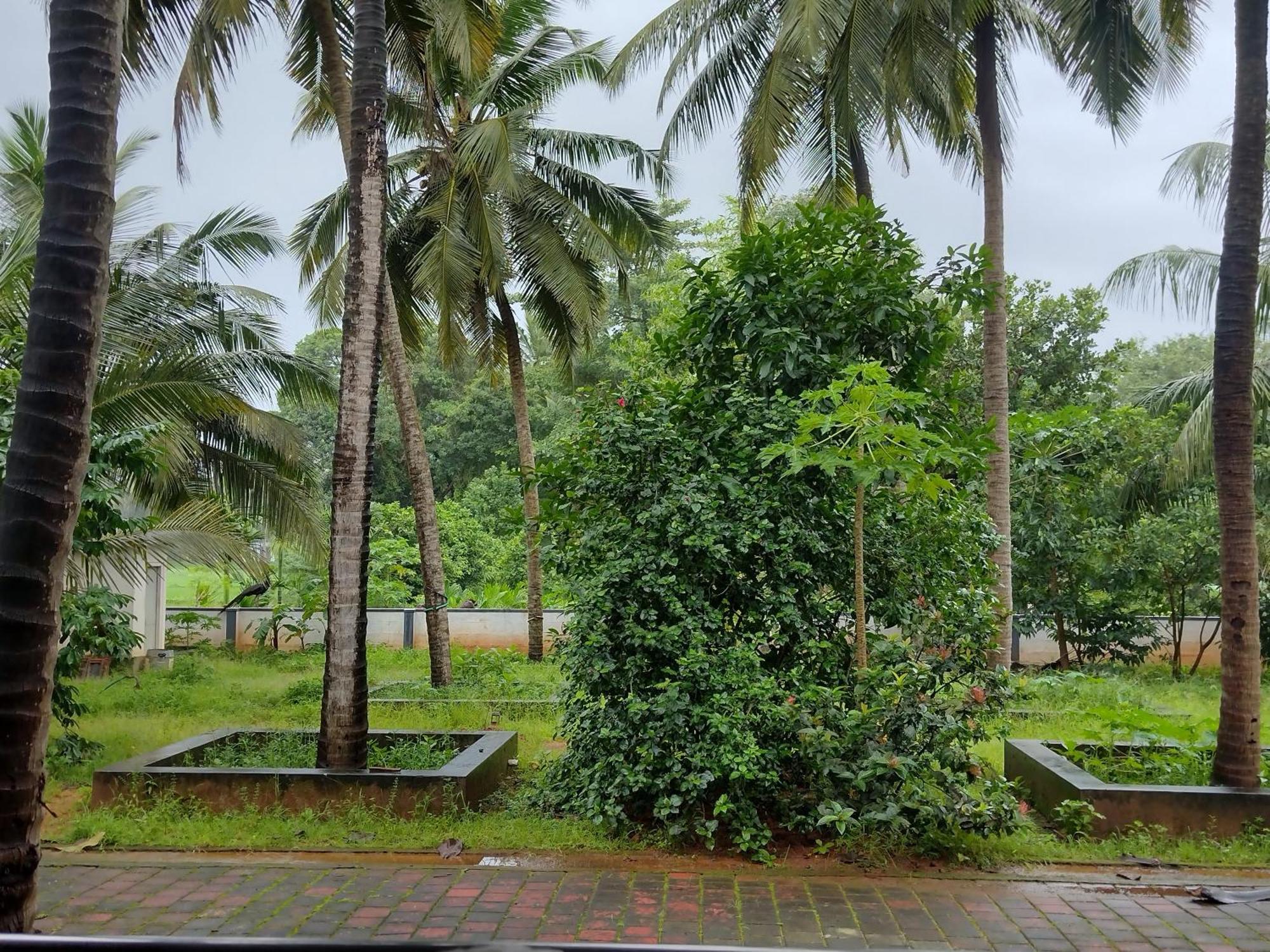 Jayadurga Farms - An Eco-Friendly Homestay Удипи Экстерьер фото